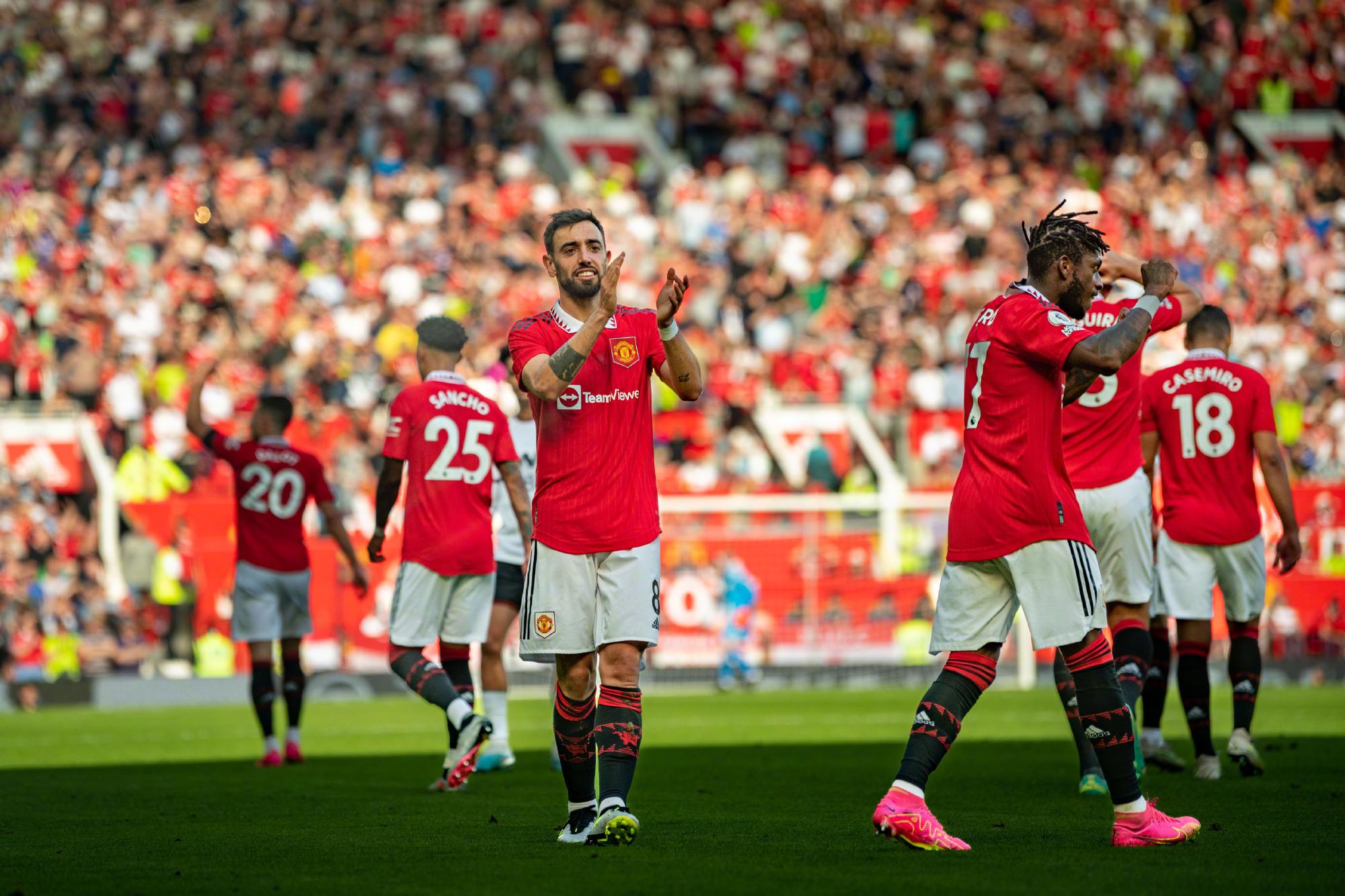 的训练指导 的训练指导